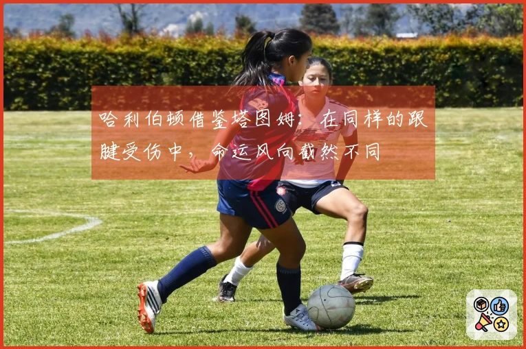 哈利伯顿借鉴塔图姆：在同样的跟腱受伤中，命运风向截然不同