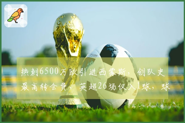 热刺6500万欧引进西蒙斯，创队史最高转会费，英超26场仅入1球，球队降级濒危